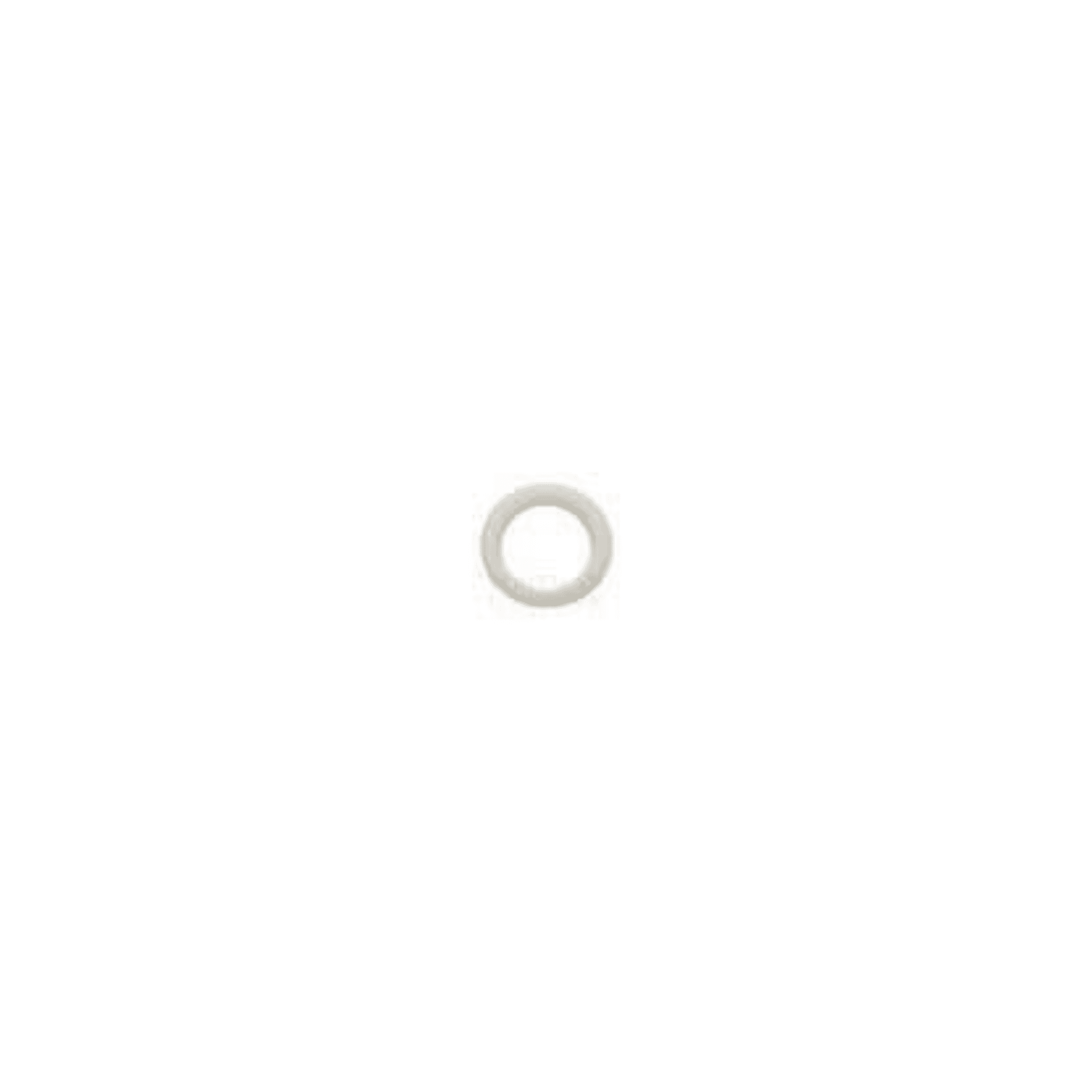 O-Ring PTFE