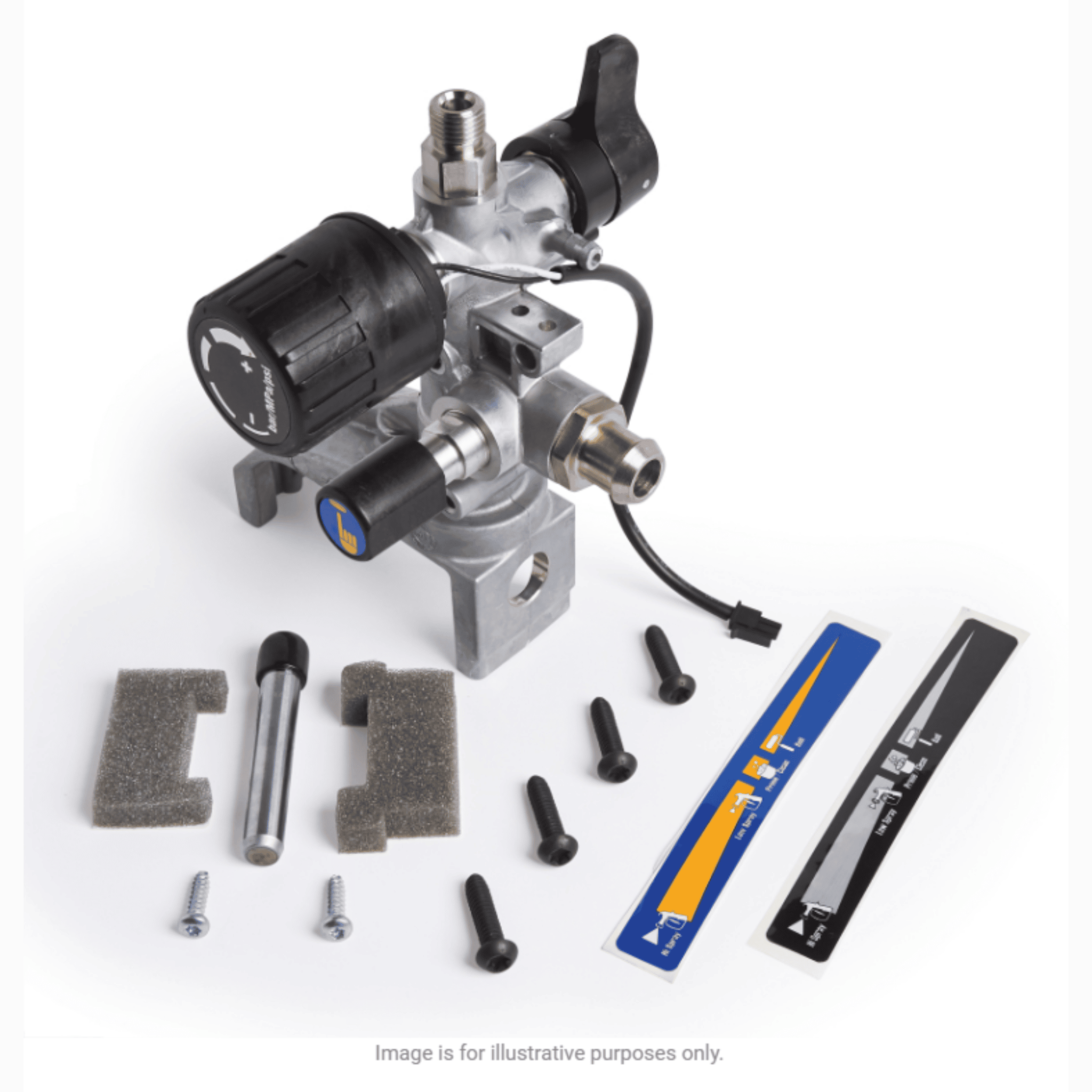 Graco 17L079 Pump Assembly