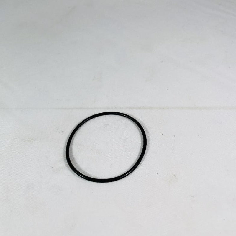 foot valve o-ring 140-099