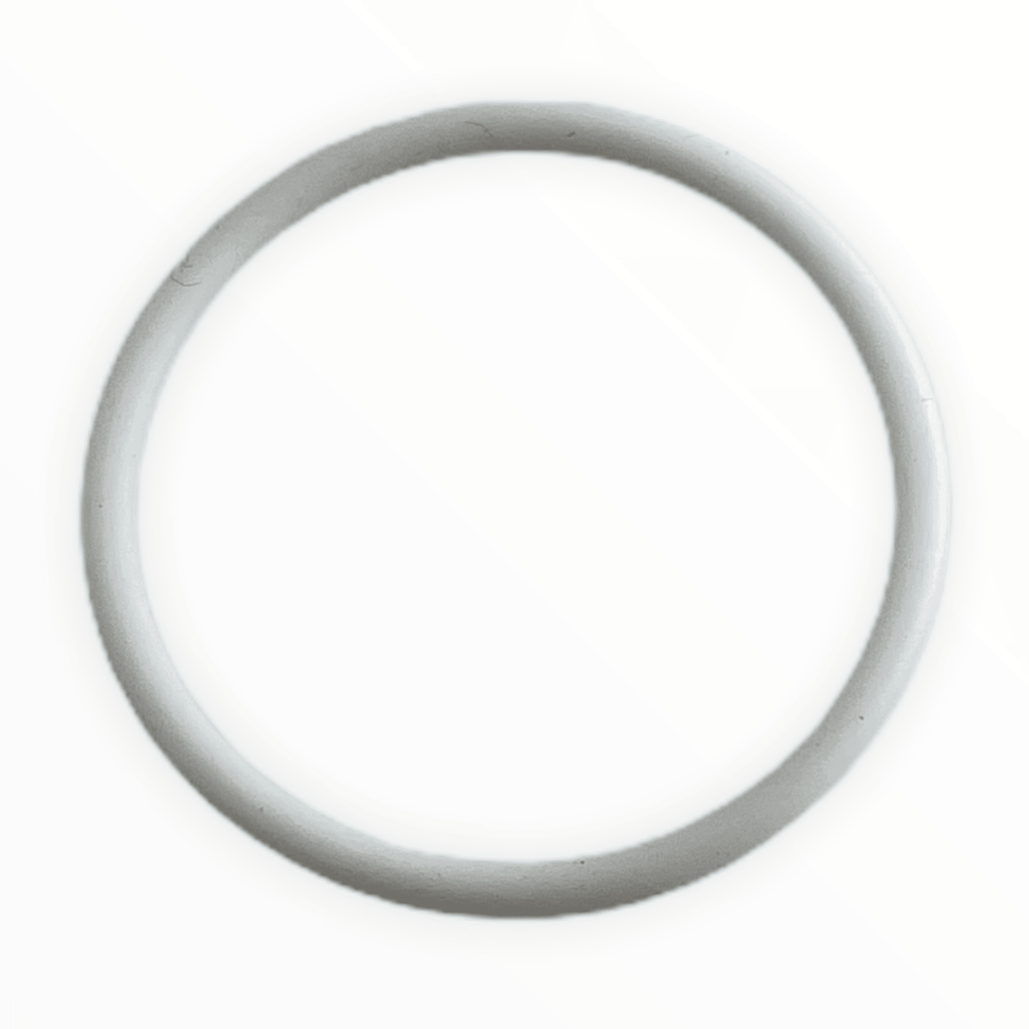 Titan 704-297 Teflon O-Ring