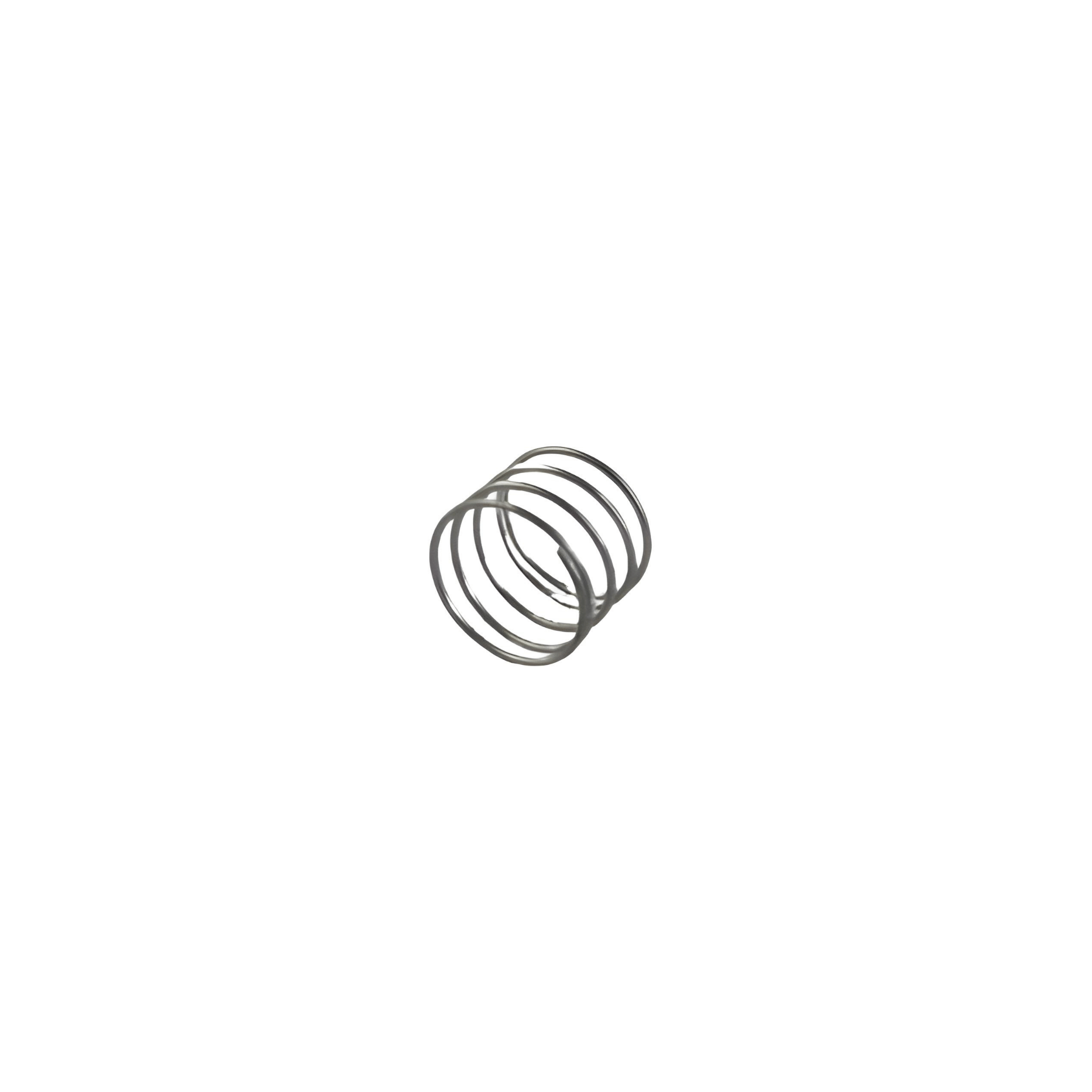 123849 Inlet Spring