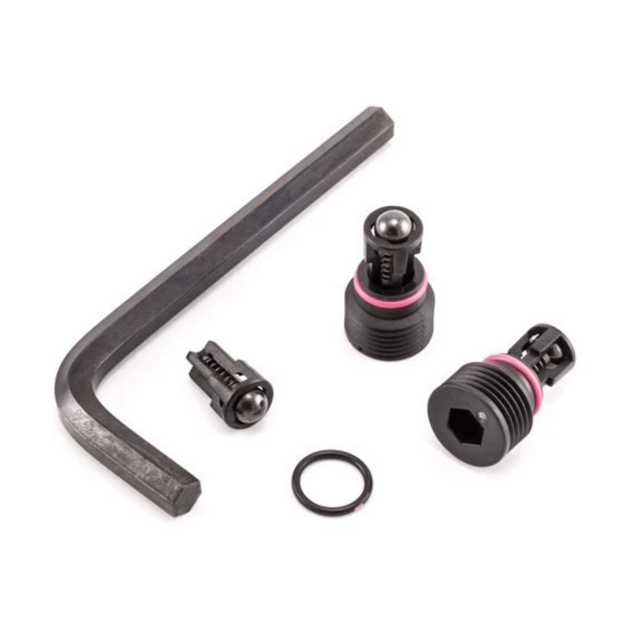 graco 17P183 Outlet Valve Kit