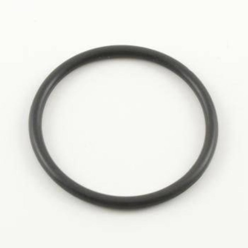 106556 Teflon O-Ring